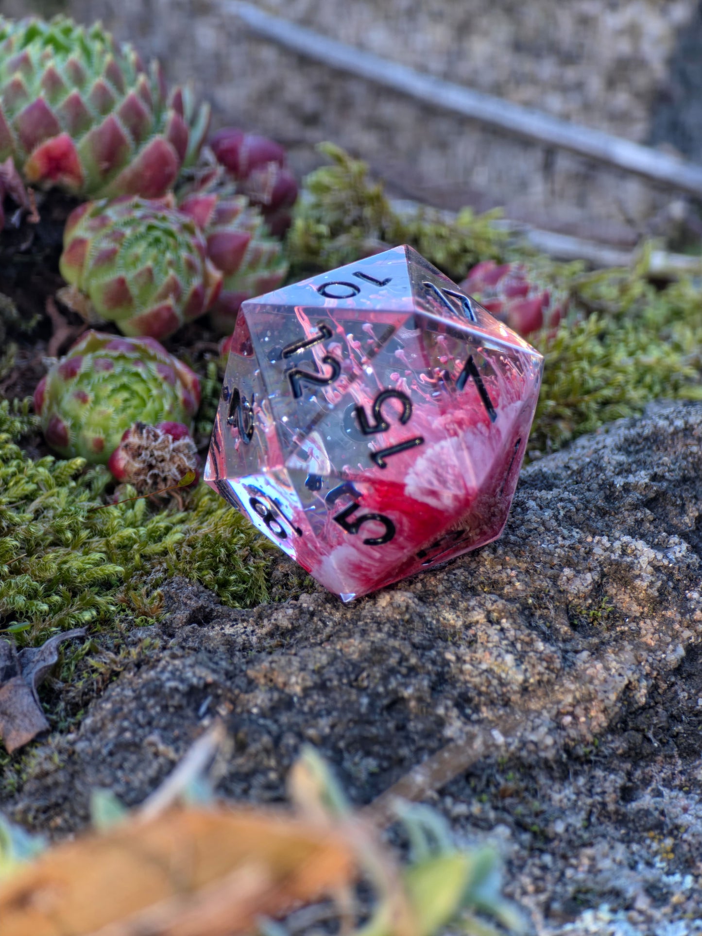Polyedrischer Einzelner D20 –Petri D20 Rot Weiß Pilz Stil – Handgemachter Resin Würfel mit Petri Effekt | Mushroom Dice TTRPG Pen and paper