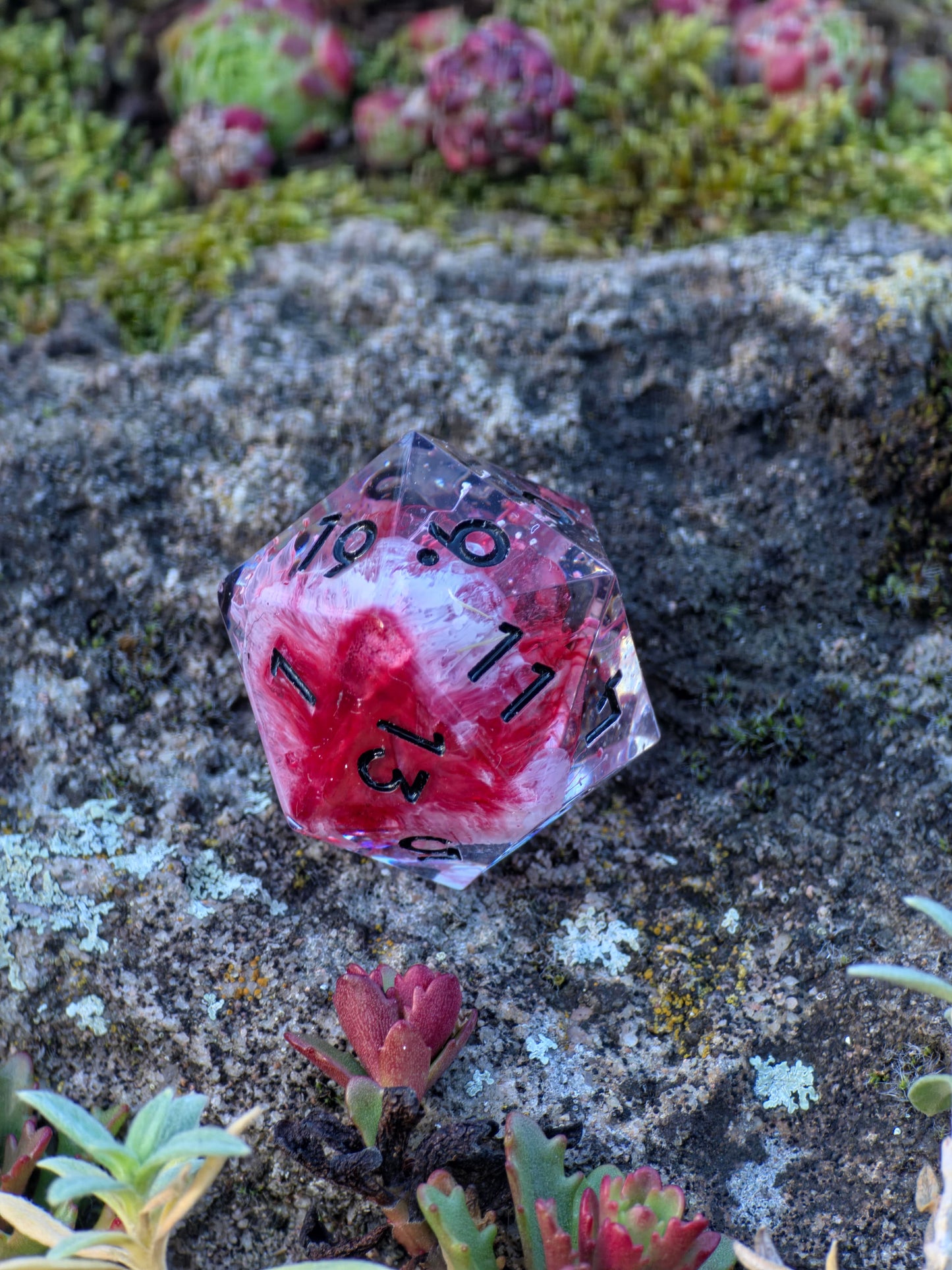Polyedrischer Einzelner D20 –Petri D20 Rot Weiß Pilz Stil – Handgemachter Resin Würfel mit Petri Effekt | Mushroom Dice TTRPG Pen and paper