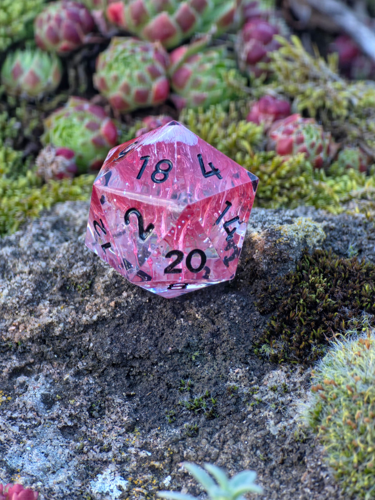 Polyedrischer Einzelner D20 –Petri D20 Rot Weiß Pilz Stil – Handgemachter Resin Würfel mit Petri Effekt | Mushroom Dice TTRPG Pen and paper