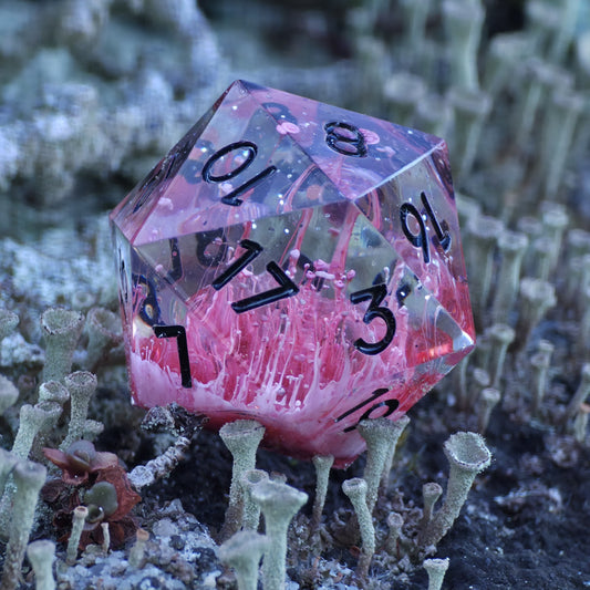 Polyedrischer Einzelner D20 –Petri D20 Rot Weiß Pilz Stil – Handgemachter Resin Würfel mit Petri Effekt | Mushroom Dice TTRPG Pen and paper